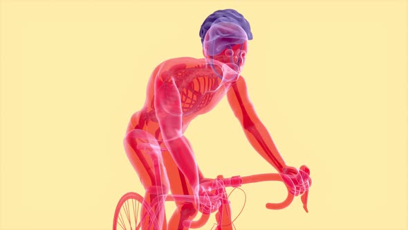 4K anatomy of a X-ray cyclist riding