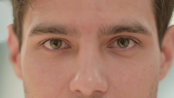 Close Up of Blinking Eyes of Creative Young Man