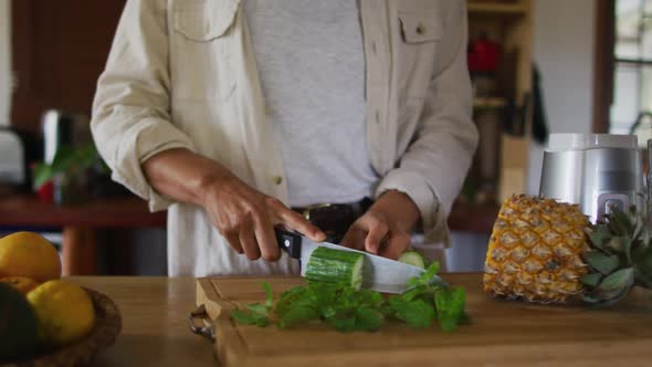 Midsection of mixed race woman chopping fruit and vegetables in cottage kitchen