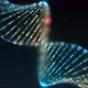 Digital DNA Profile - VideoHive Item for Sale