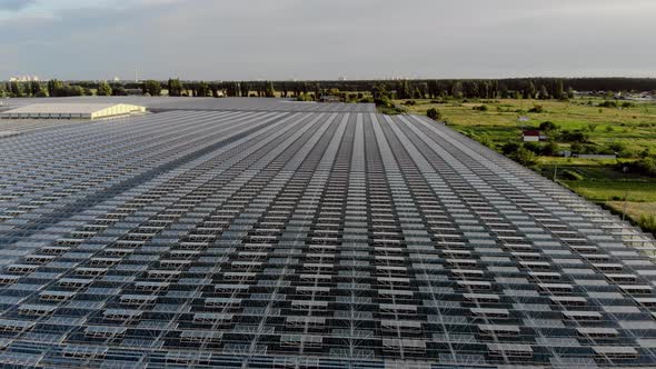 Flying Over a Large Greenhouse with Fruits and Vegetables