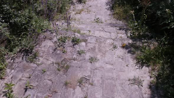 Walking down the steps in nature POV 4K video