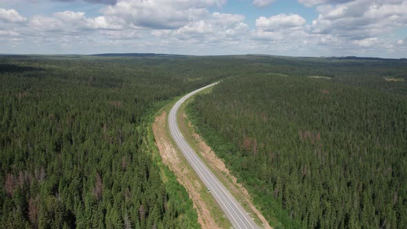 Aerial View of Scenic Road Between Green Trees with Pines on a Sunny Summer Morning