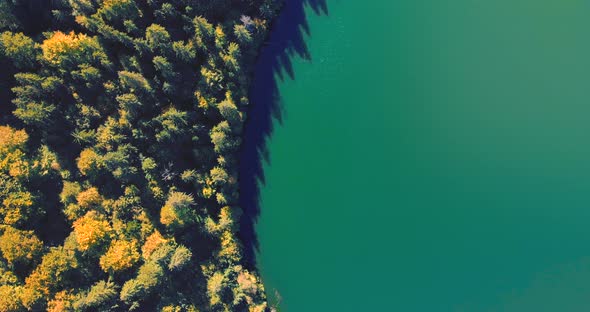 Top View Of Autumnal Forest Trees On A Blue Calm Lake Of Saint Ann In Romania