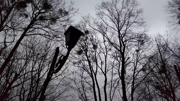 Street lights on the background of the cloudy autumn sky. alt