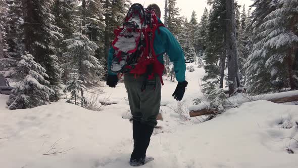 Winter Hiking on Vancouver Island, Canada