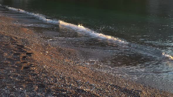 Seashore At The Dawn Sun Background