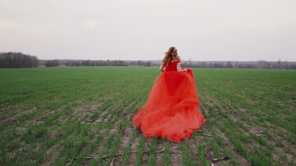 Young Woman in a Luxurious Red Dress Runs Along the Green Grass