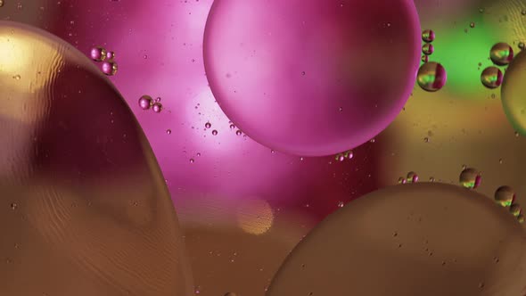 Macro Structure of Colorful Oil Bubbles. Chaotic Motion. Abstract Multicolored Background. Pattern