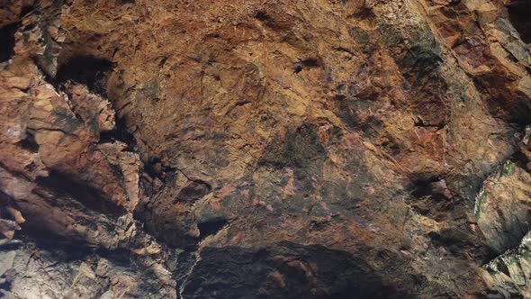 A slow motion close up shot of coastal swallows flying up onto a cave roof in Southern Australia.