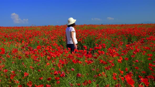 Woman with a Hat in a Red Poppy Field. White Clothes. Blue Sky. General view