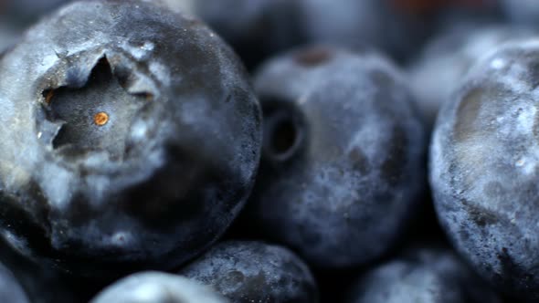 Close-up shot of blueberry berry motion. Slider blueberry