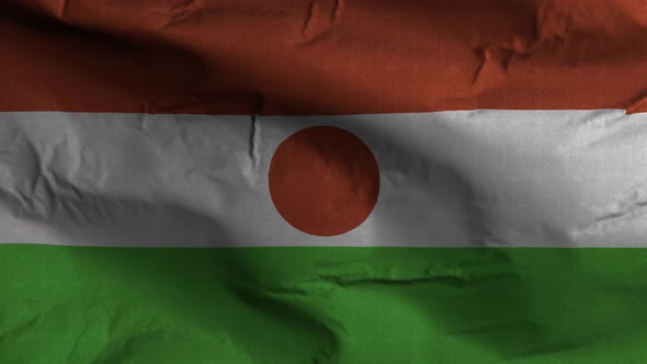 Niger Flag Textured Waving Background 4K