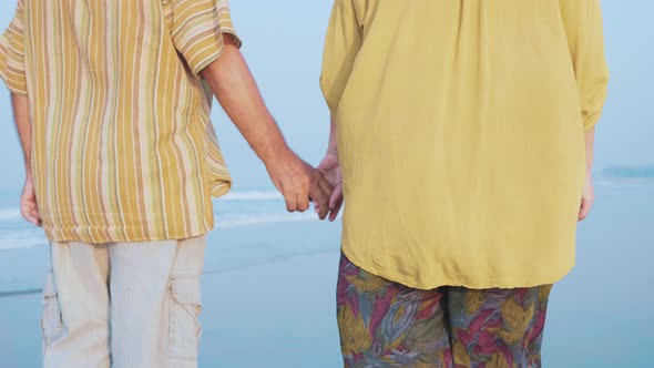 Senior Couple Walking on the Beach and Talking Steadicam Shot