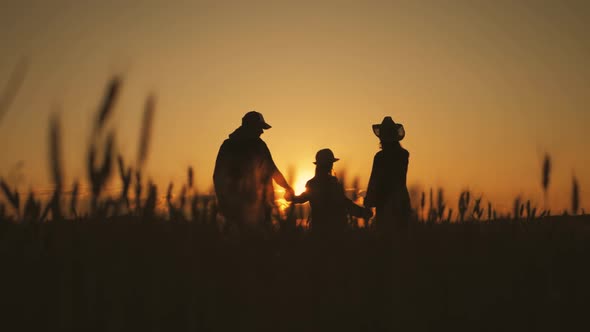 Silhouette Family Farmers Working in a Wheat Field at Sunset. Young Parents with Their Daughter in a