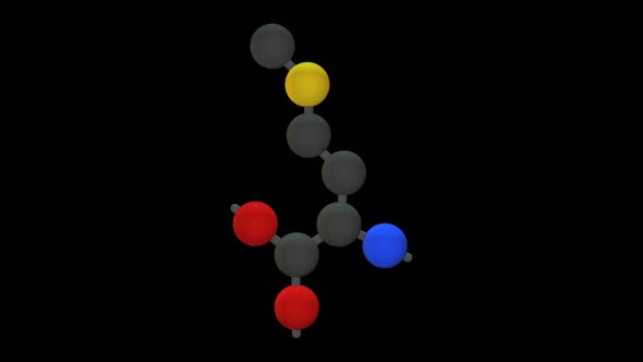 L-methionine - Amino acid model