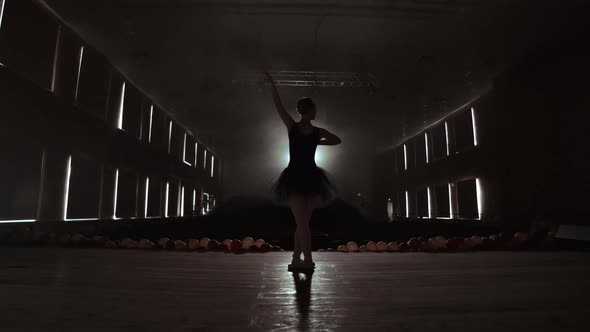 Silhouette of Young Ballet Dancer Standing Back to Camera