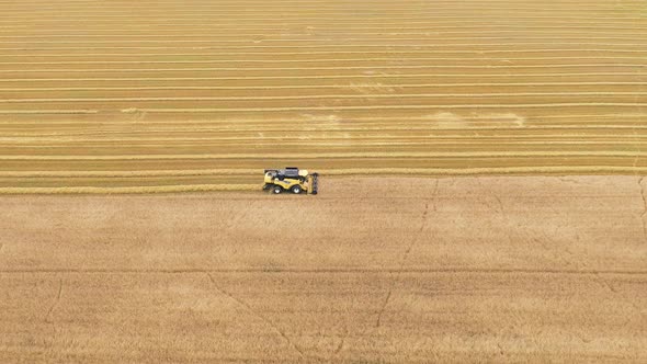 Farmer In Combine Harvester Harvests Grain In Agricultural Field At Summer Day