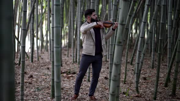 Violinist is Playing Fiddle in Bamboo Grove Musical Rehearsal or Gig in Nature