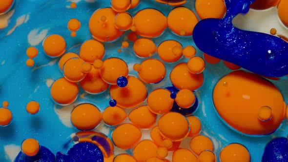 Macro Structure of Multicolored Water Paint Oil Bubbles Movement Bright Colorful Acrylic Painting