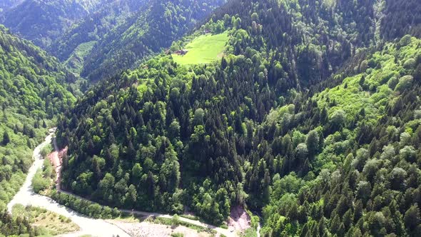 Small Meadow and Houses in Forest Clearance