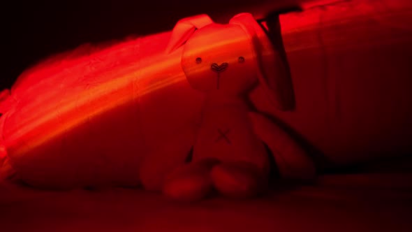 Colorful led light at rabbit toy