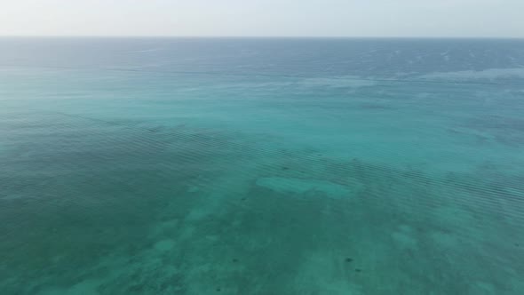 View Of The Sea Surface From A Bird's Height