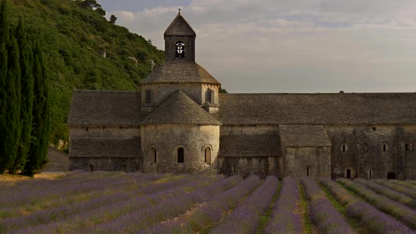 Panorama of the Senanque Abbey with Blooming Lavender. Provence, France. , FHD