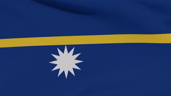 Flag Nauru Patriotism National Freedom Seamless Loop