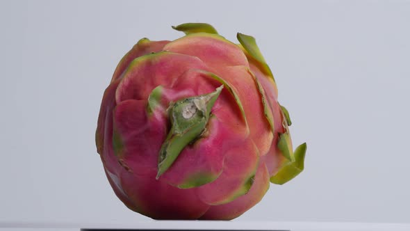 Dragonfruit 17