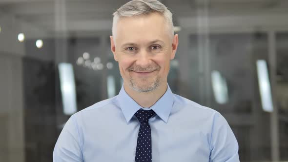 Portrait of Smiling Grey Hair Businessman in Office