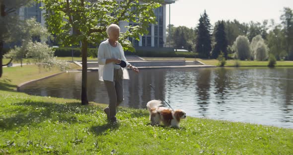 Elderly Woman Pensioner Walk Cavalier Spaniel in Park Near Lake