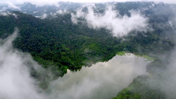 Aerial sliding over green calm scenery of low cloud