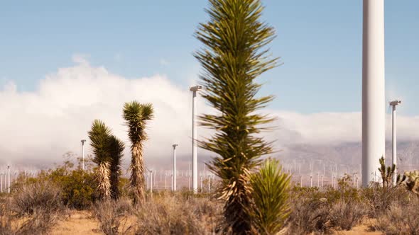 Wind Power In California Time Lapse