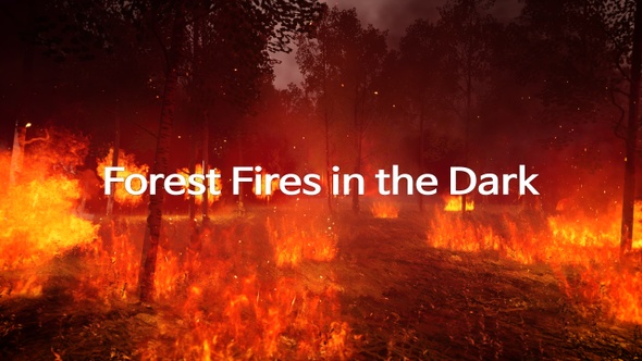 Forest Fires in the Dark