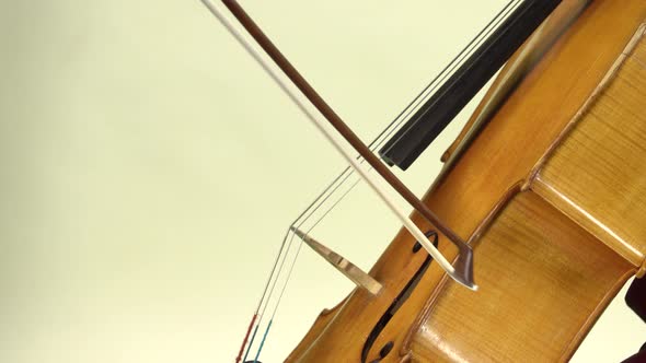 Playing the Cello Close Up. White Background