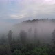 Fly over the forest in the fog - VideoHive Item for Sale
