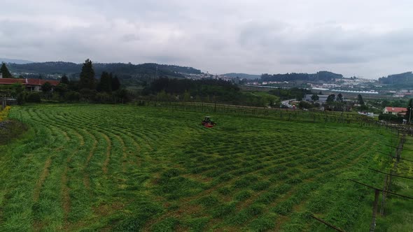 Agricultural Work in Field