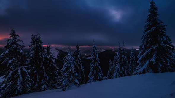 Fast Clouds Winter Forest Blue Morning