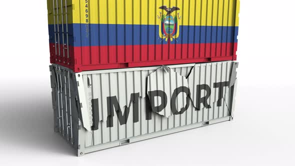 Container with Flag of Ecuador Breaks Container with IMPORT Text alt