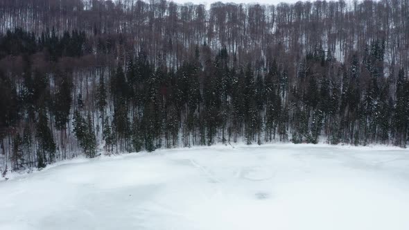 Tree lined lakeshore, frozen winter landscape, Sfanta Ana, Romania, drone tilt down shot