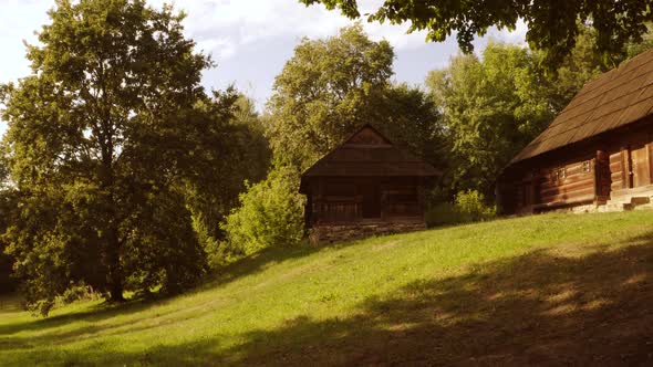 Old Wooden Spooky Cabin in a Forest