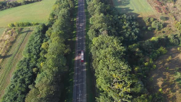 Flying along the road between threes with driving vehicles