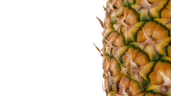 Pineapple Fruit, Closeup