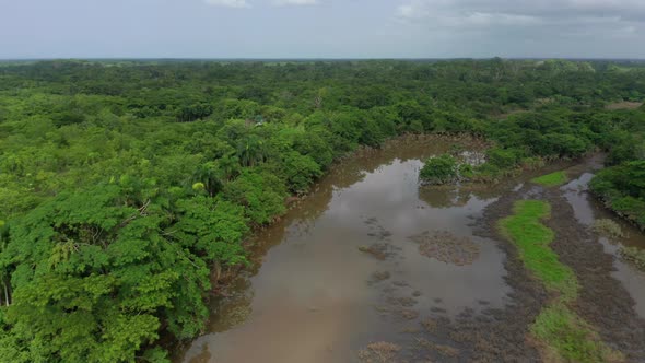 Aerial view over swamp in wetlands, Dominican Republic