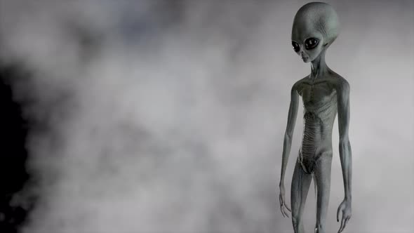 Scary Gray Alien Stands and Looks Blinking on a Dark Smoky Background