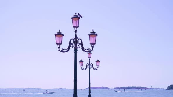 Pigeon Sits on Triple Streetlight on Waterfront in Venice