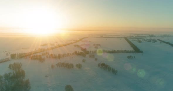 Aerial Drone View of Cold Winter Landscape with Arctic Field, Trees Covered with Frost Snow and