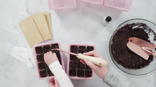 Time lapse. Flat lay. Planting seeds in seed propagator with soil.