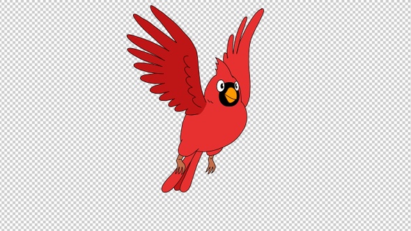 Red Bird Loop